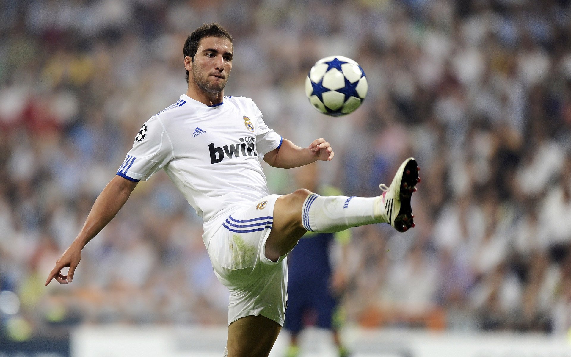 顶尖教练揭秘:带队夺冠的战术秘密,顶级教练最新