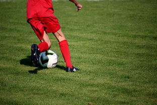 开云·体育官网APP下载-校园足球教练培训体系现状与改革思路，校园足球师资培训