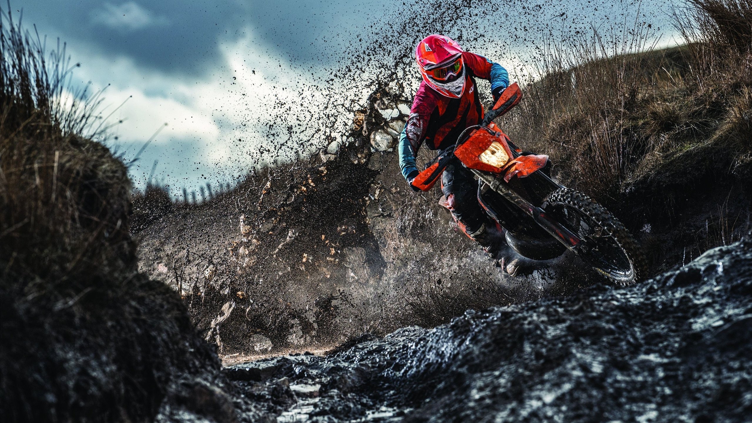 篮球运动员专项体能训练个体差异化方案设计,篮球队身体素质训练