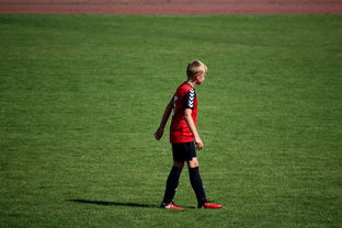 开云·体育官网-中国足球职业俱乐部球员转会市场活跃度提升，中国足球协会球员身份与转会管理规定